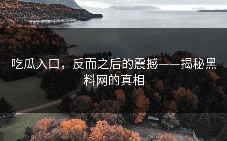 吃瓜入口，反而之后的震撼——揭秘黑料网的真相