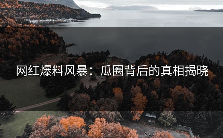 网红爆料风暴：瓜圈背后的真相揭晓