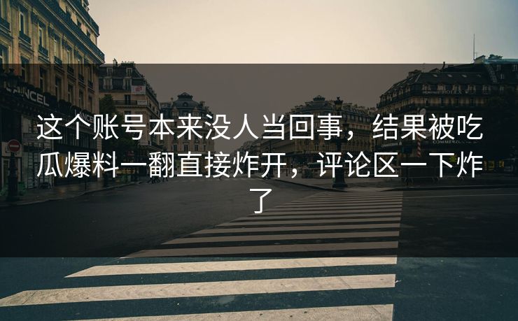 这个账号本来没人当回事，结果被吃瓜爆料一翻直接炸开，评论区一下炸了